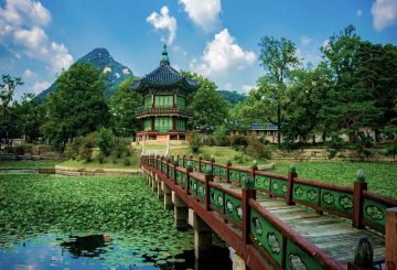 Employment Outlook: South Korea