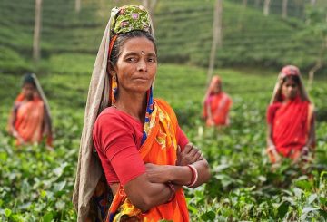 Employment Outlook: India