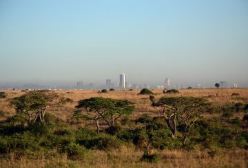 How to Live Like a Kenyan