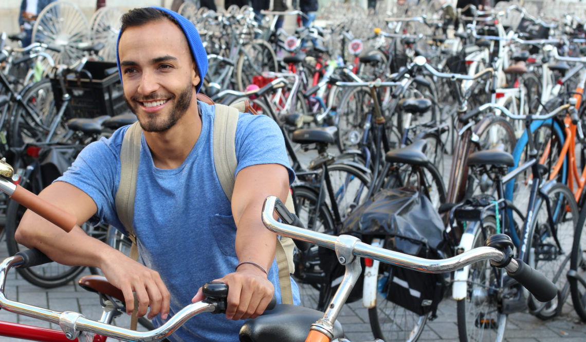 Life in the Netherlands: From Housing to Healthcare